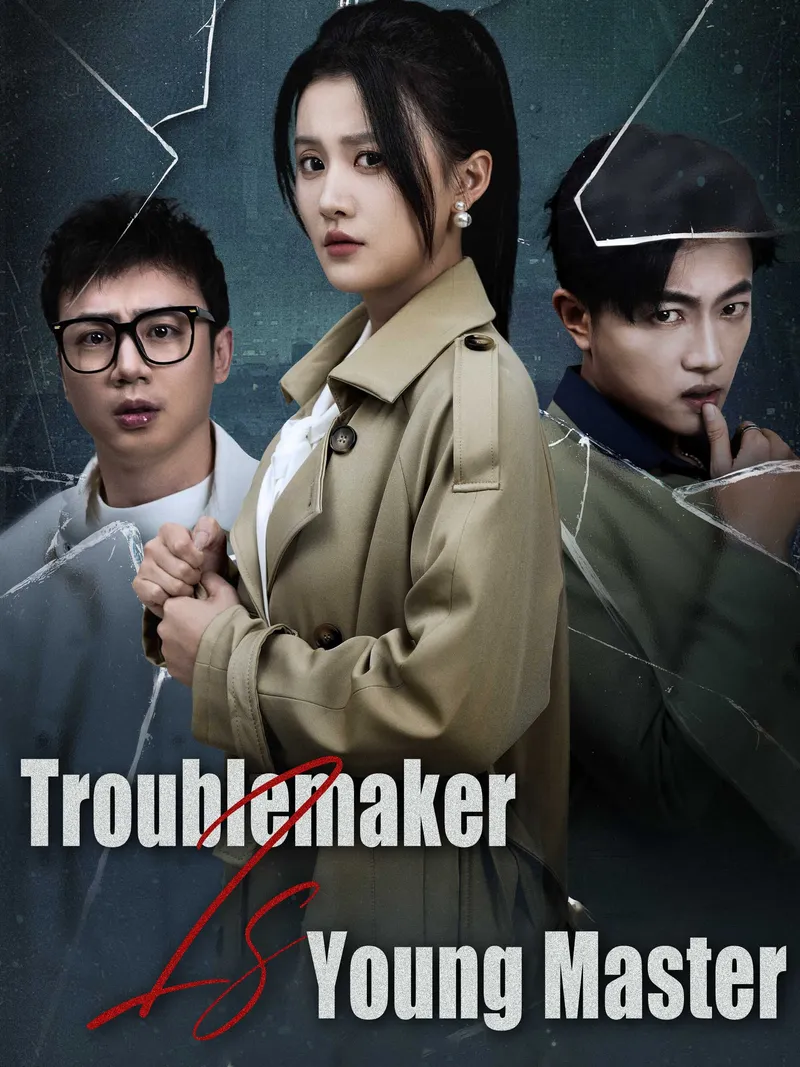 Troublemaker Is Young Master cover