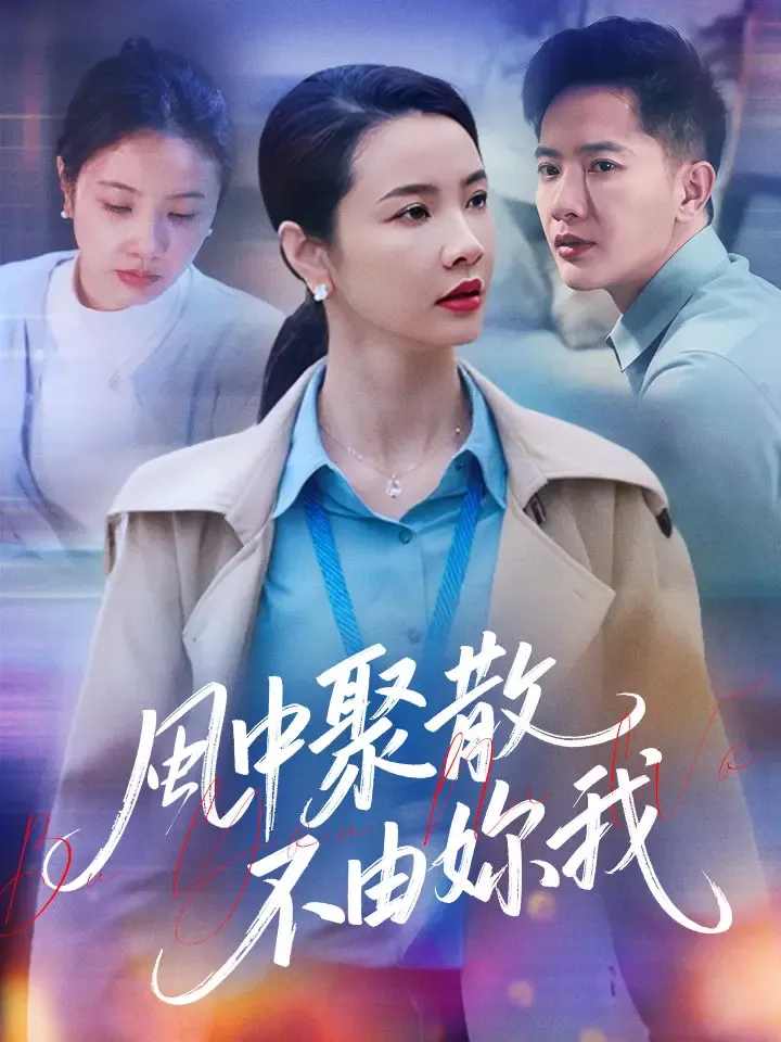 《風中聚散不由妳我》封面