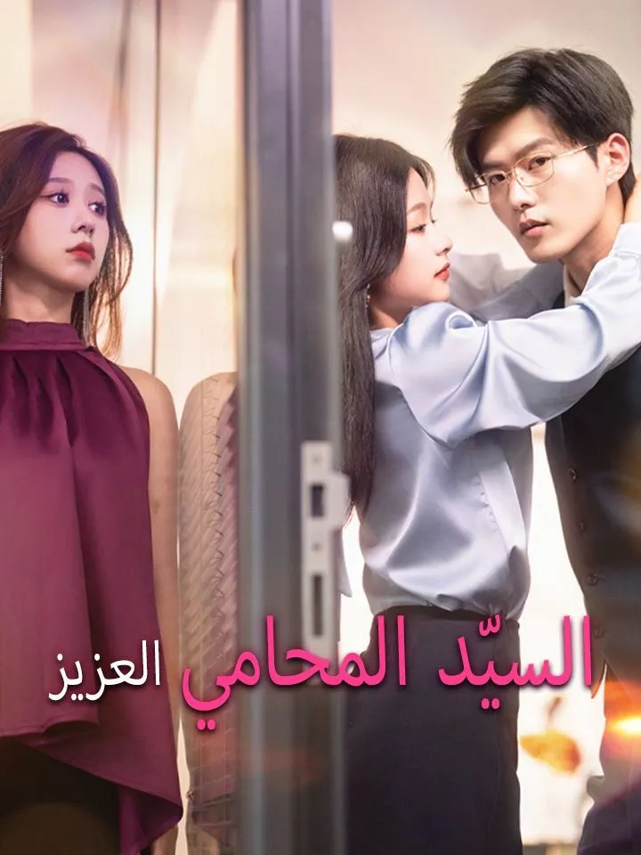 غلاف السيّد المحامي العزيز
