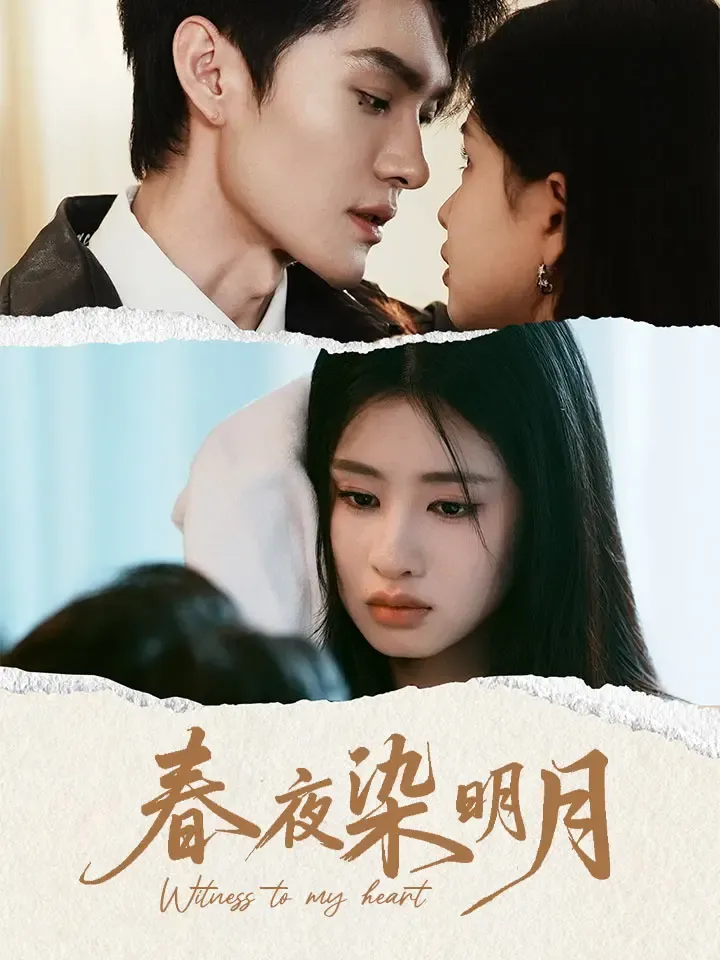 《春夜染明月》封面