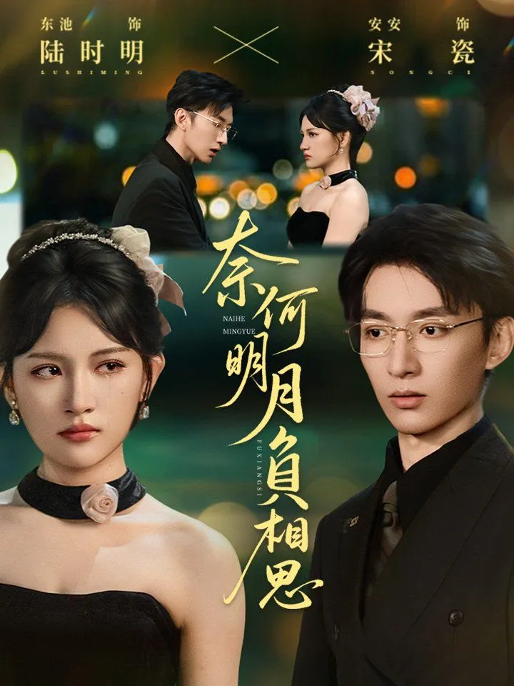 《奈何明月負相思》封面