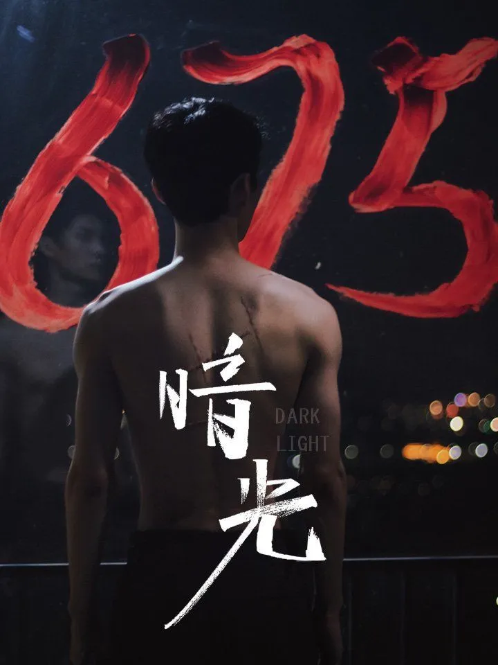 《暗光》封面