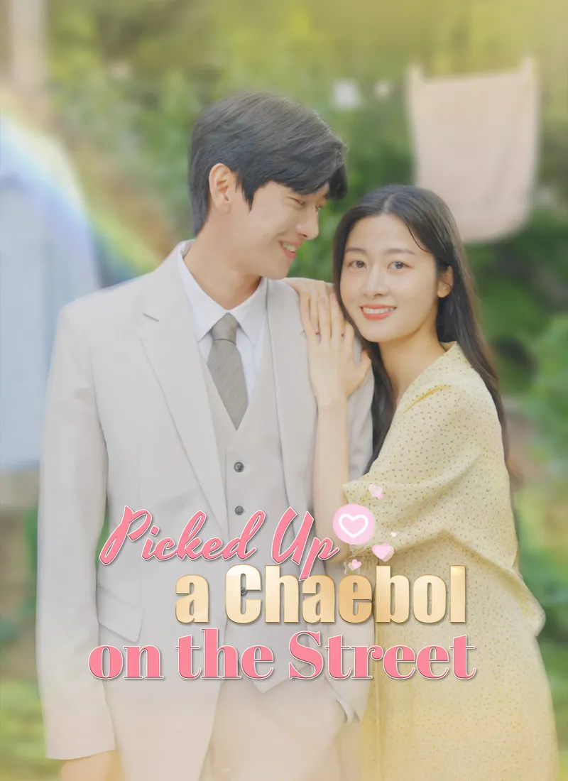 Picked Up a Chaebol on the Street cover