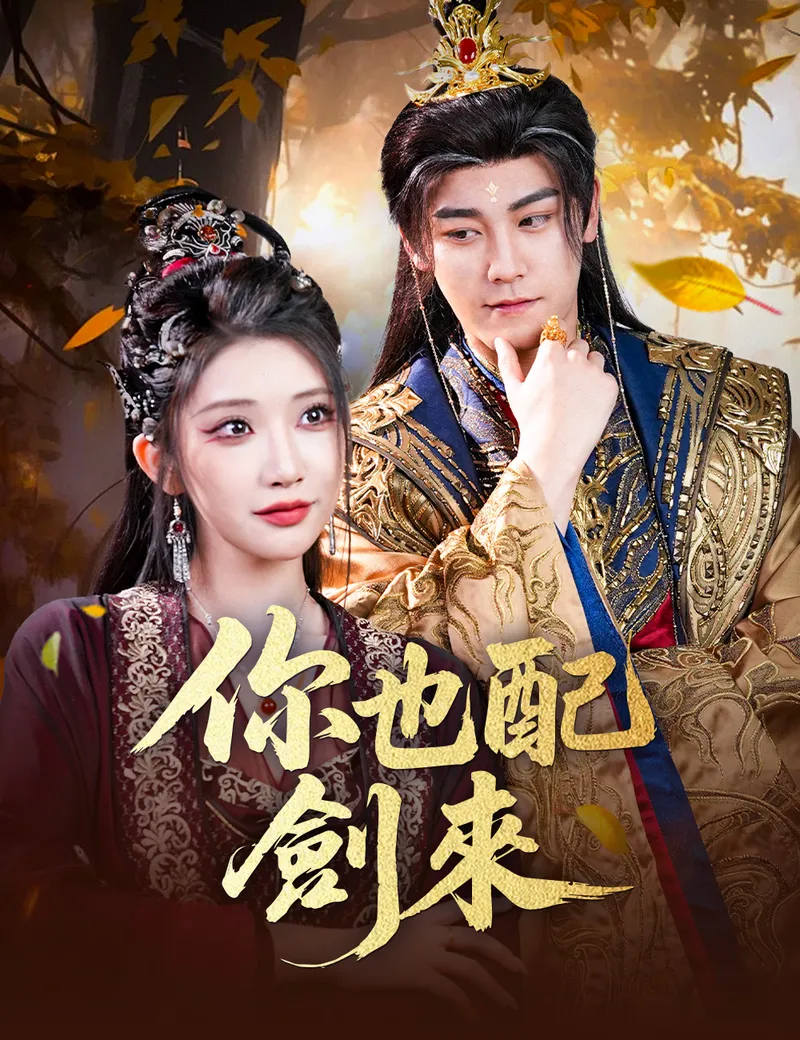 《你也配劍來》封面