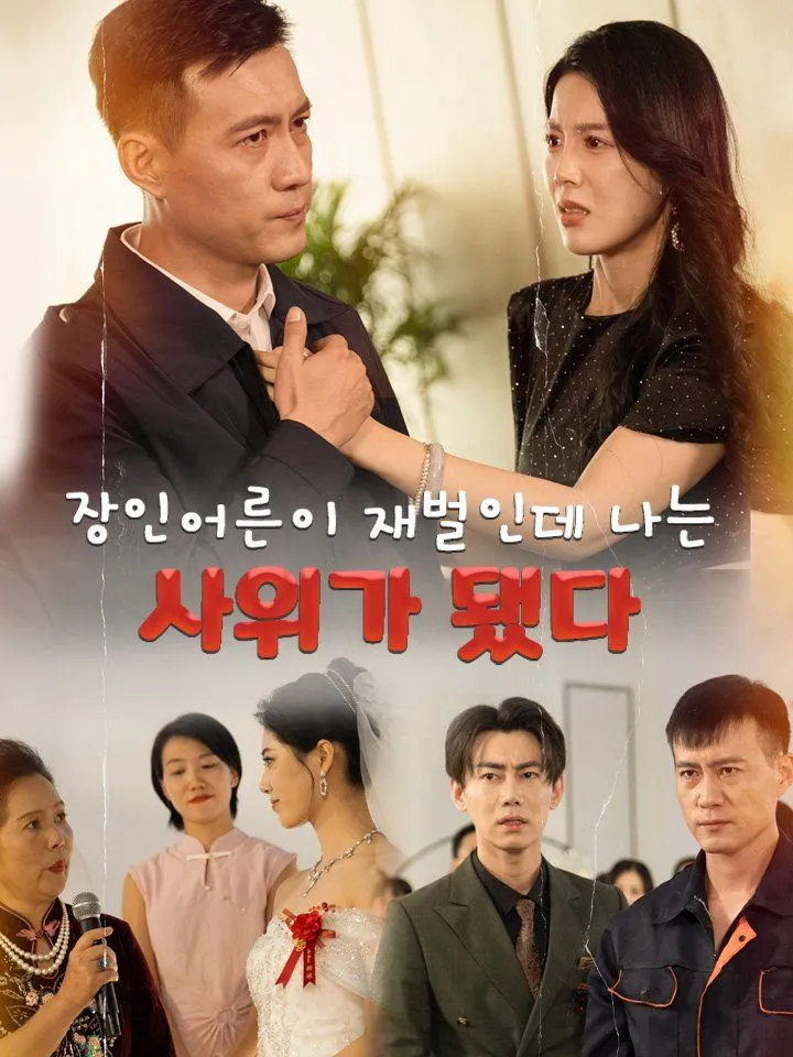 장인어른이 재벌인데 나는 사위가 됐다 표지