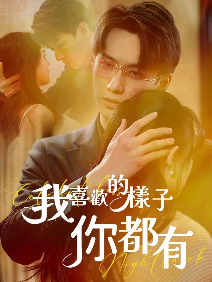 《我喜歡的樣子你都有》封面
