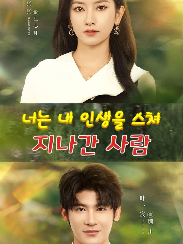 너는 내 인생을 스쳐 지나간 사람 표지