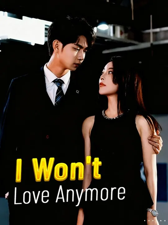 I Won't Love Anymore cover