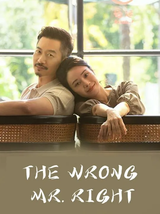 The Wrong Mr. Right cover