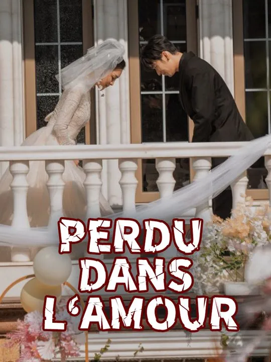Couverture de Perdu dans l‘Amour