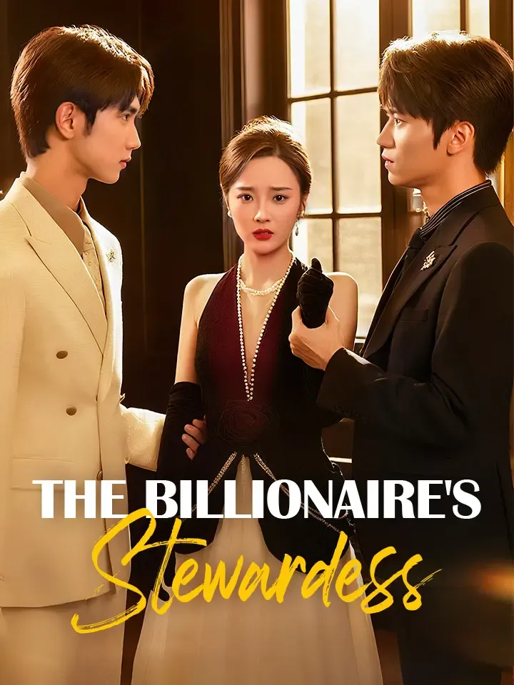 The Billionaire's Stewardess cover