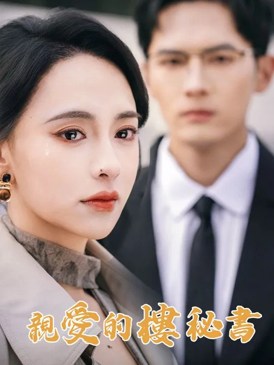 《親愛的樓秘書》封面