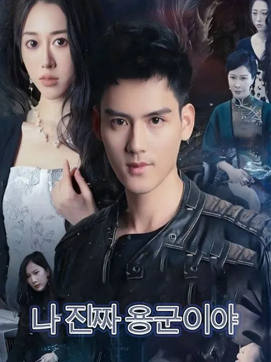 나 진짜 용군이야 표지