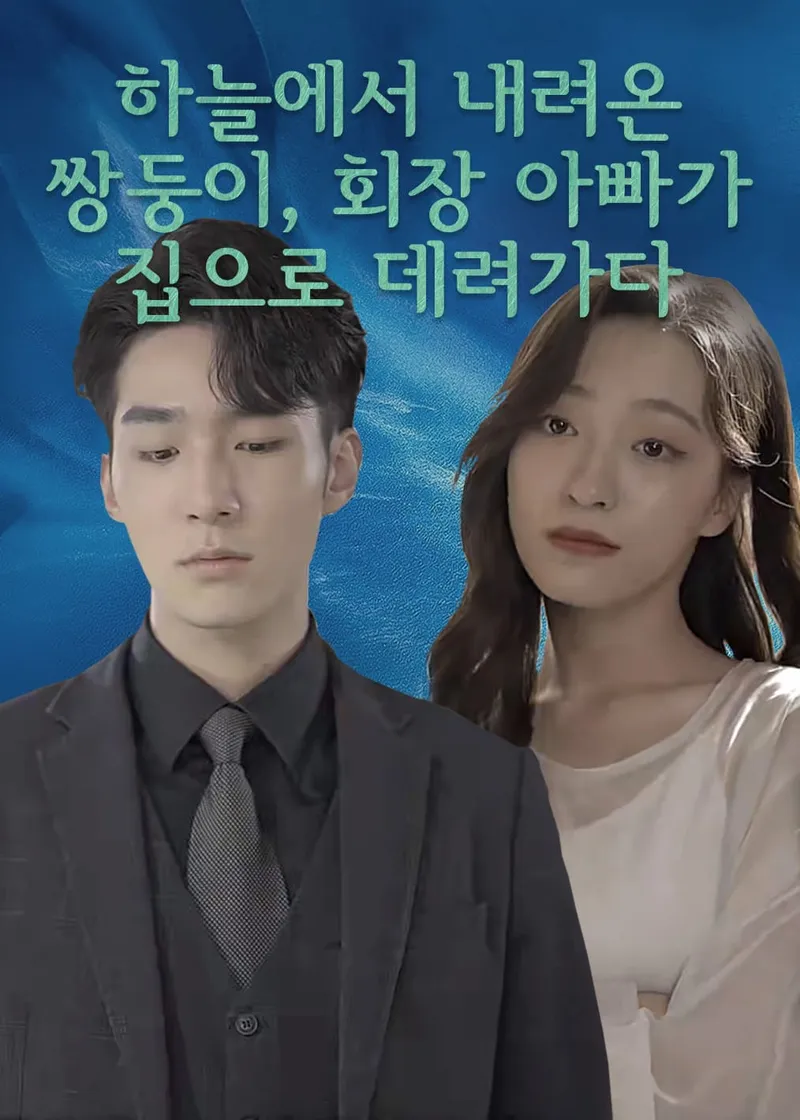 하늘에서 내려온 쌍둥이, 회장 아빠가 집으로 데려가다 표지