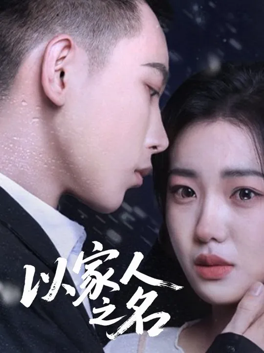 《以家人之名》封面