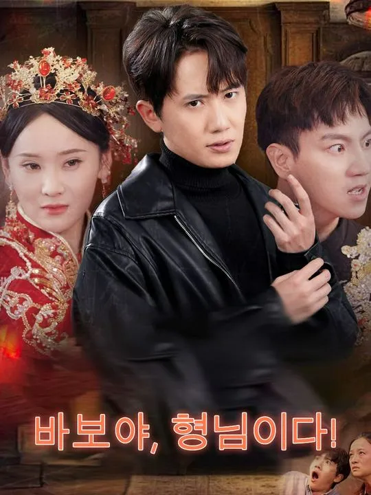 바보야, 형님이다! 표지