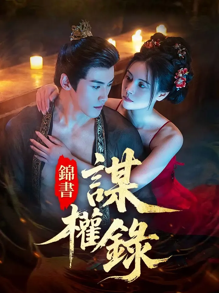 《錦書謀權錄》封面