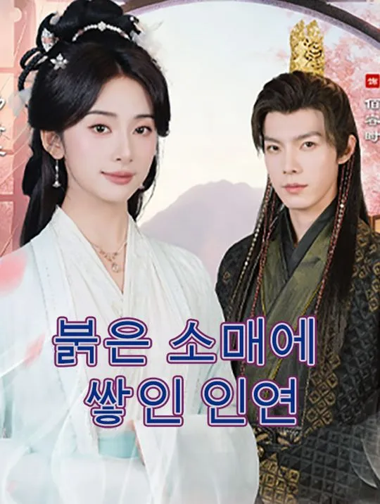 붉은 소매에 쌓인 인연 표지