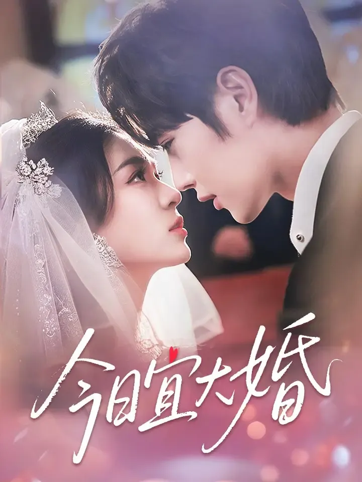 《今日宜大婚》封面