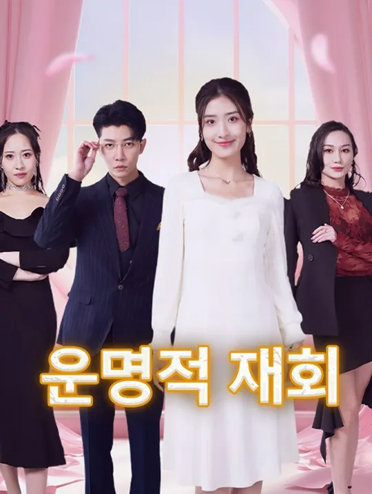 운명적 재회 표지