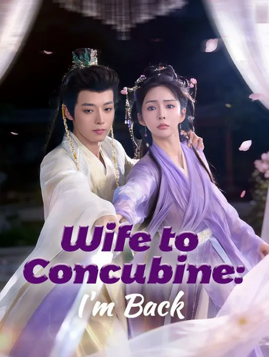 Wife to Concubine: I'm Back cover