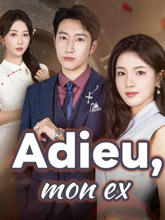Couverture de Adieu, mon ex