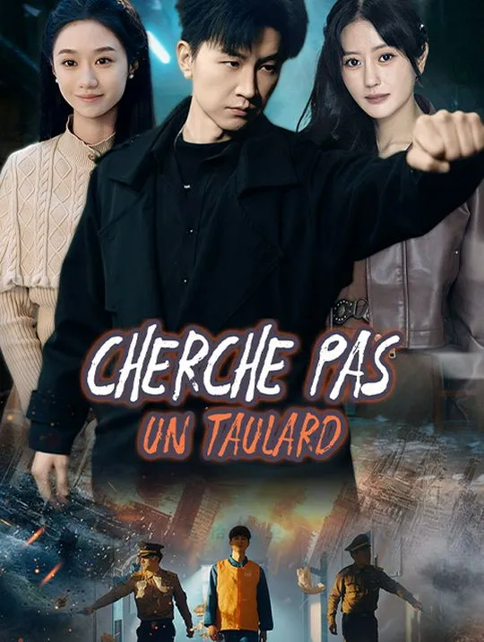 Couverture de Cherche pas un taulard