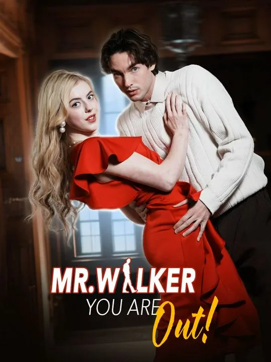 Mr. Walker You Are Out! cover