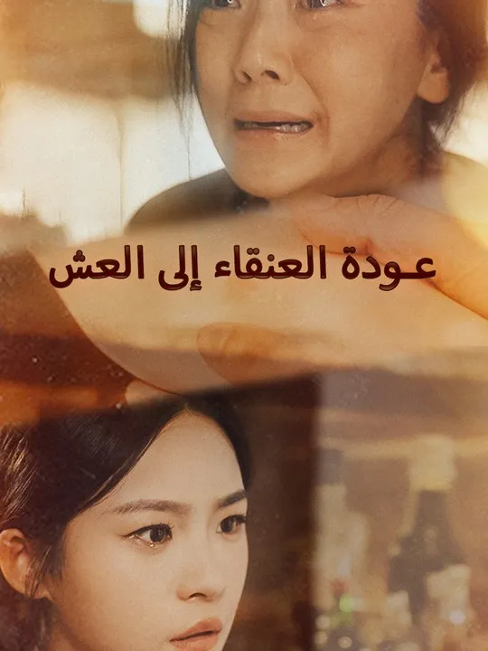 غلاف عودة العنقاء إلى العش
