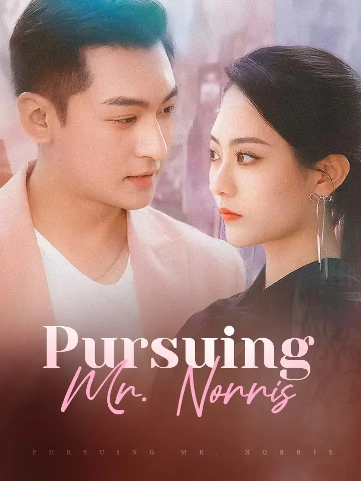 Pursuing Mr. Norris cover
