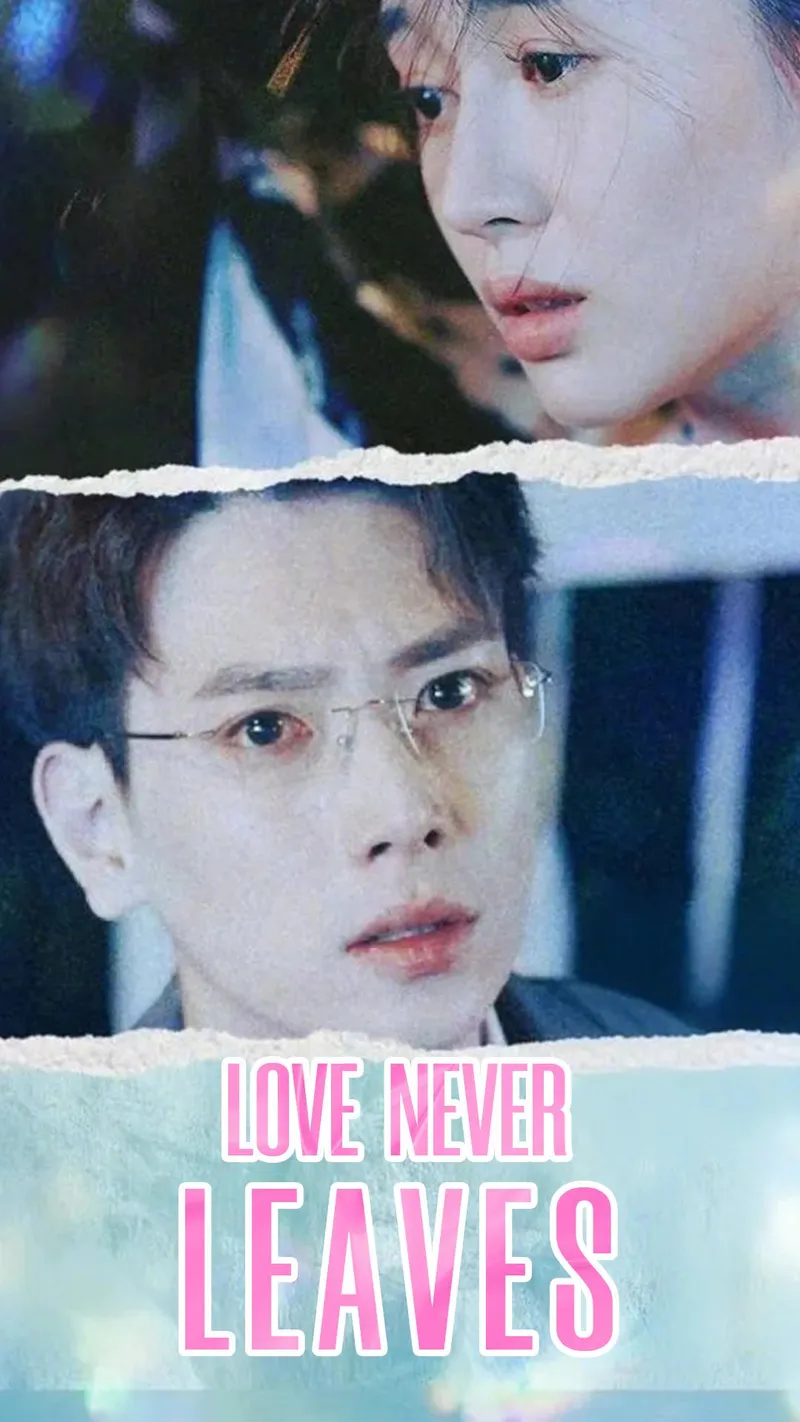 Love Never Leaves cover