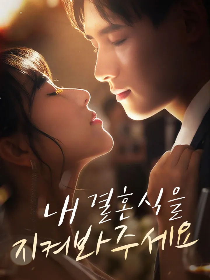 내 결혼식을 지켜봐주세요 표지