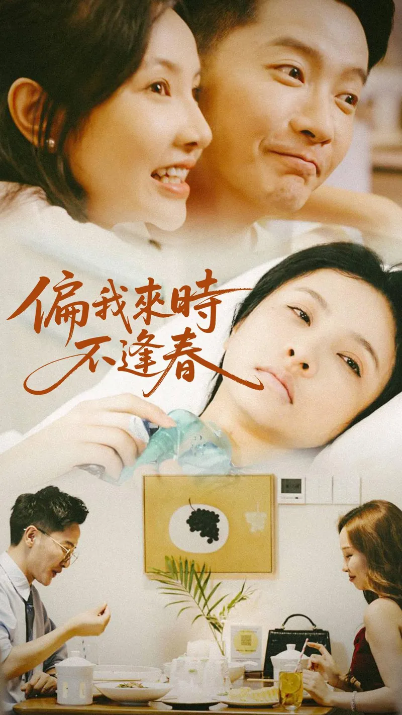 《偏我來時不逢春》封面