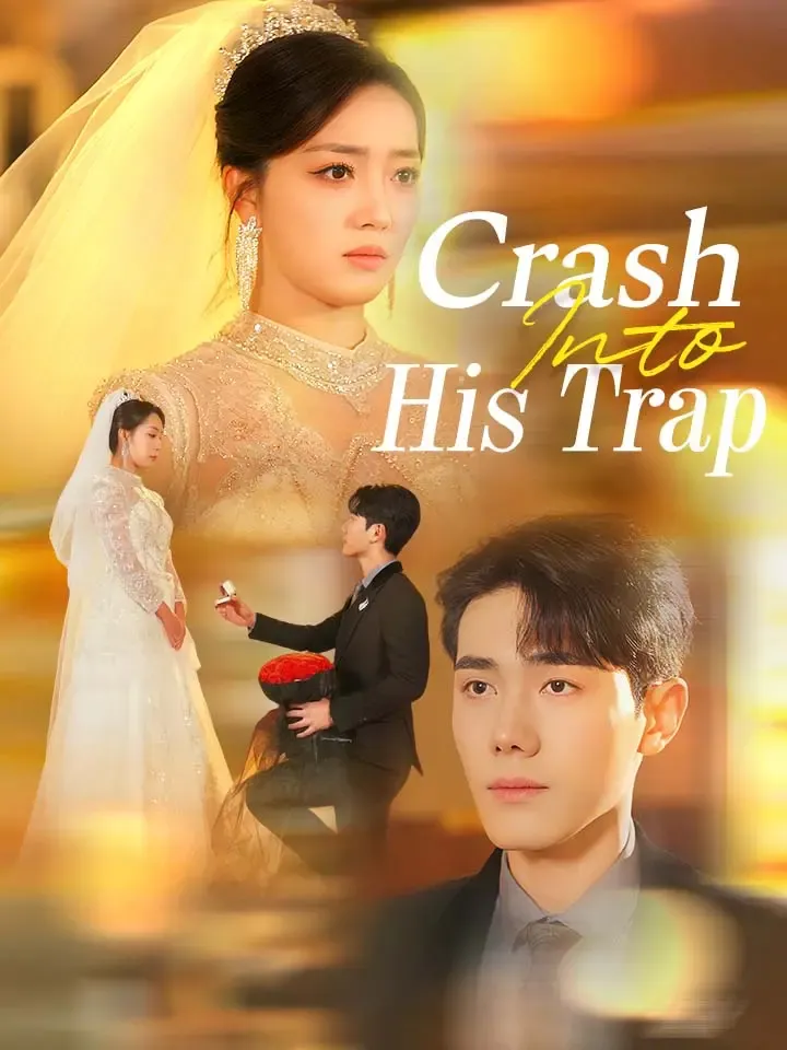 Crash Into His Trap cover