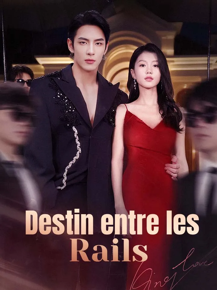 Couverture de Destin entre les Rails