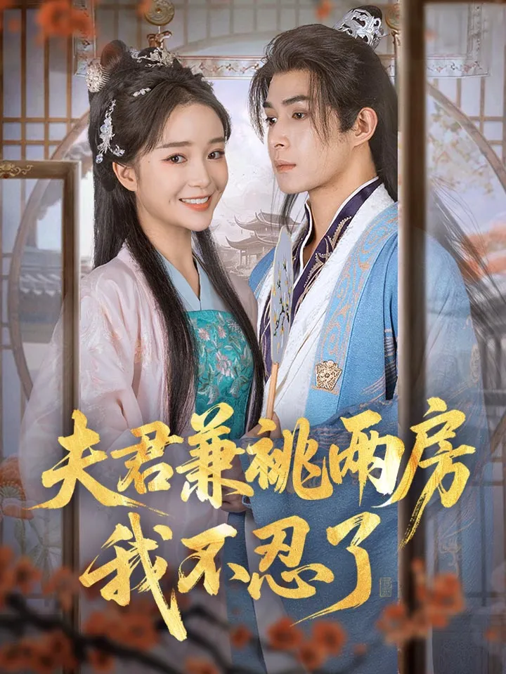 《夫君兼祧兩房，我不忍了》封面