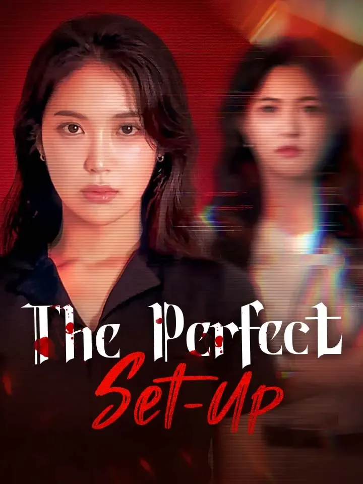 The Perfect Set-Up cover