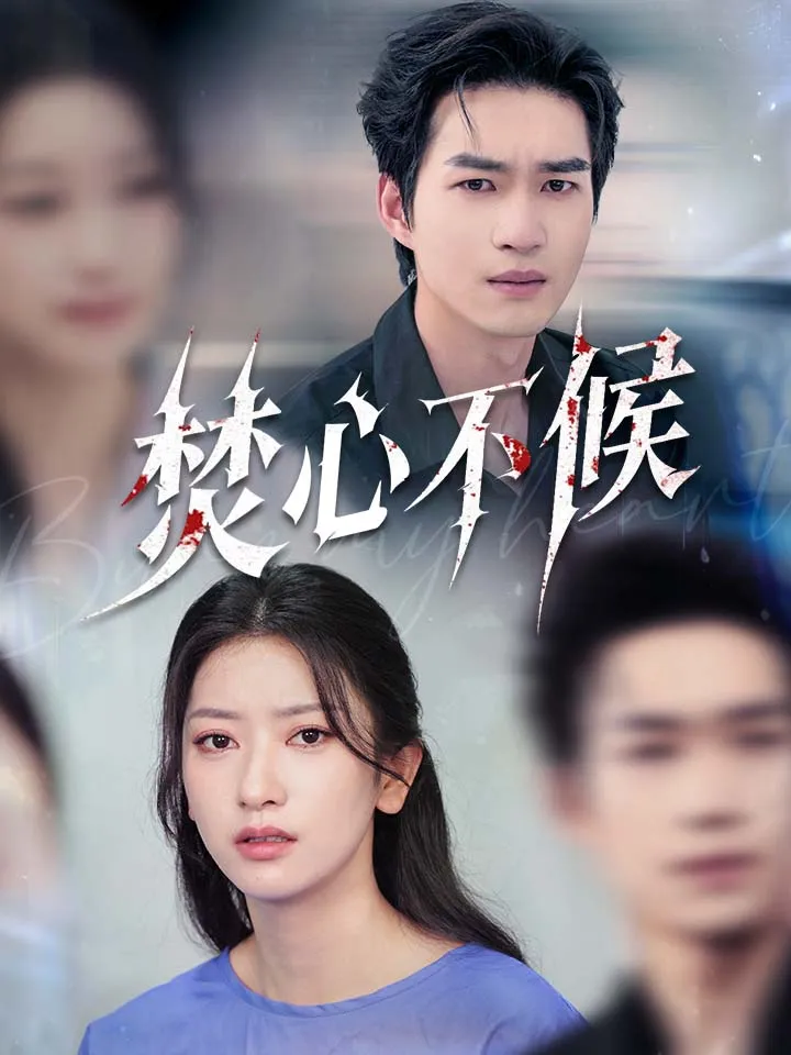 《焚心不候》封面