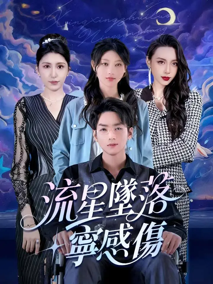 《流星墜落寧感傷》封面