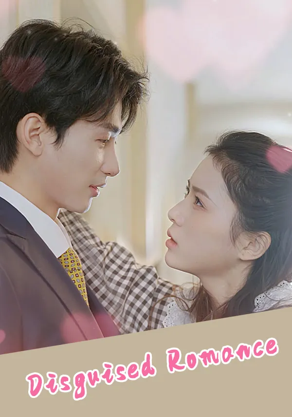 Disguised Romance cover