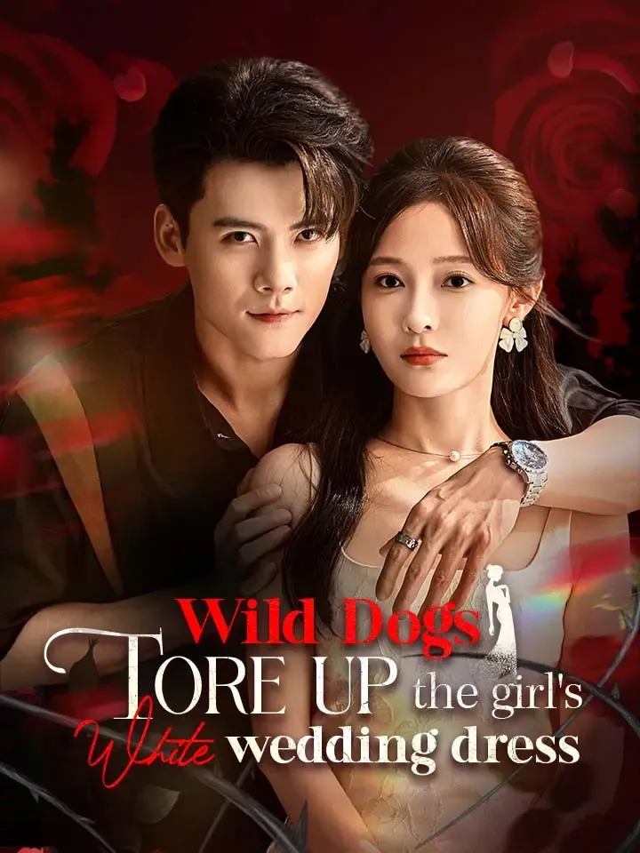 Wild dogs tore up the girl's white wedding dress cover
