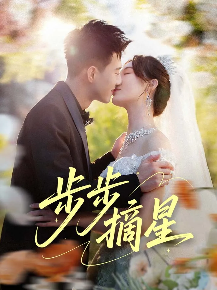 《步步摘星》封面