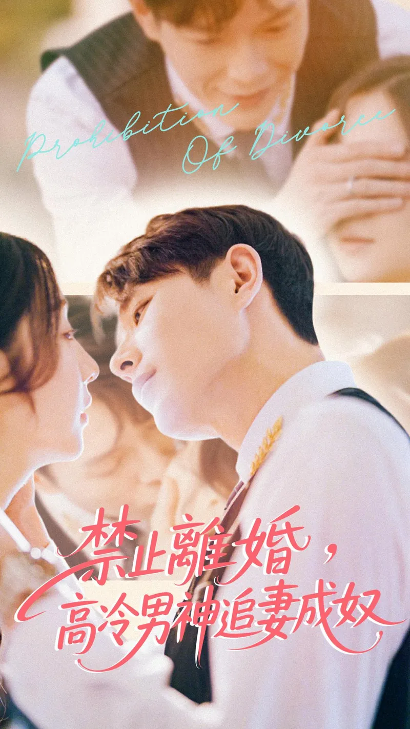 《禁止離婚，高冷男神追妻成奴》封面