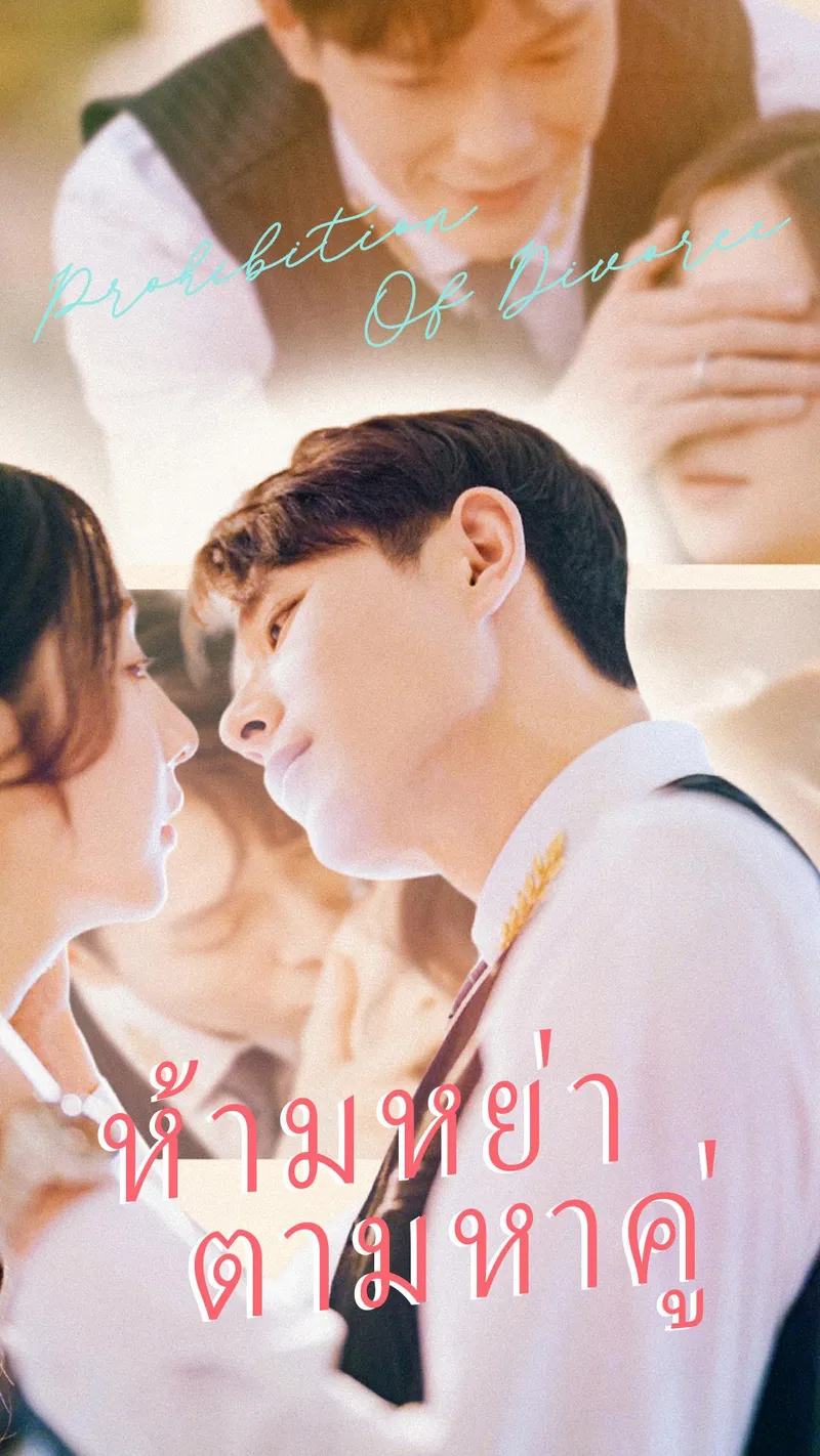 หน้าปกห้ามหย่า ตามหาคู่
