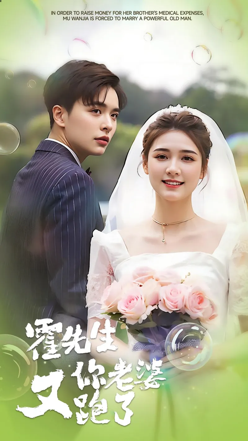 《霍先生你老婆又跑了》封面