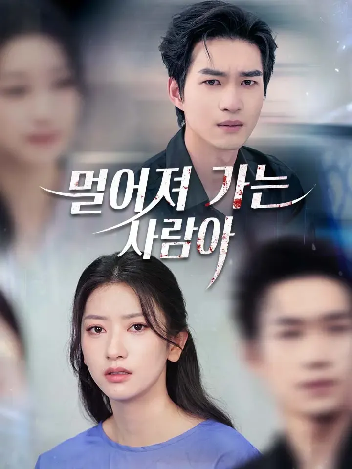 멀어져 가는 사람아 표지