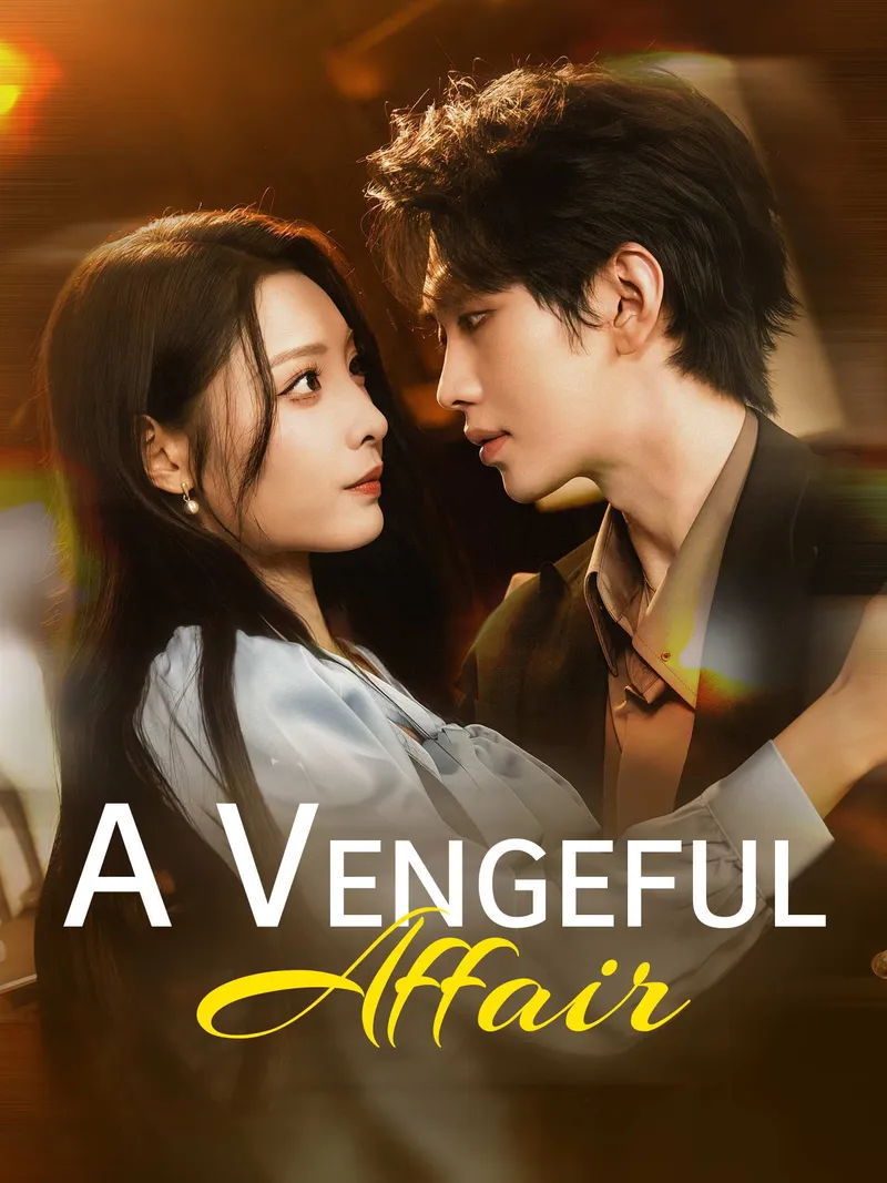 A Vengeful Affair cover