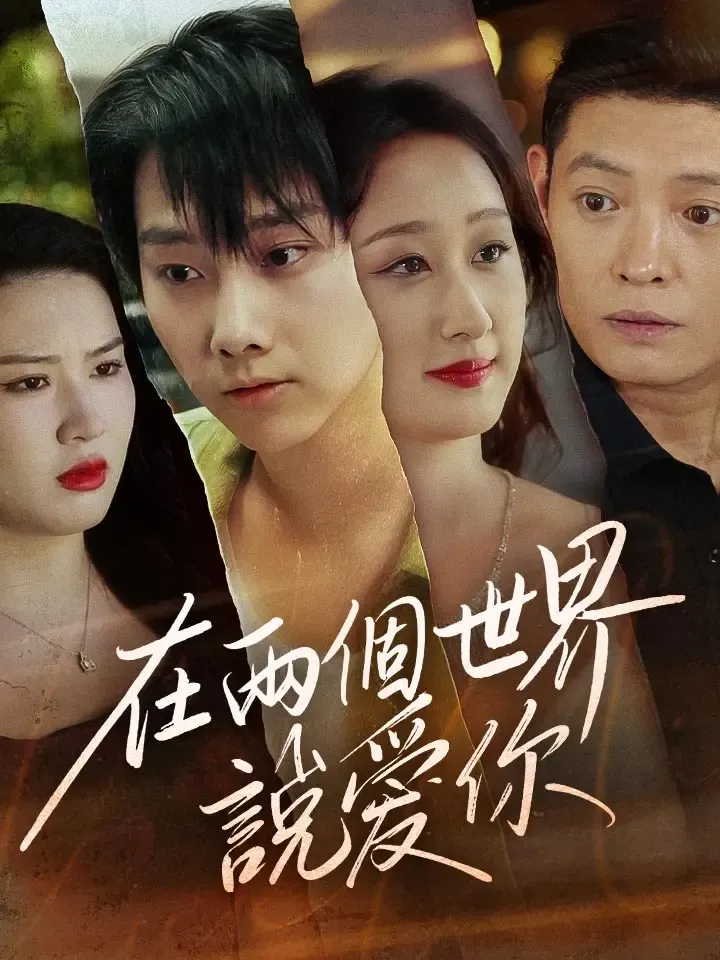 《在兩個世界說愛你》封面