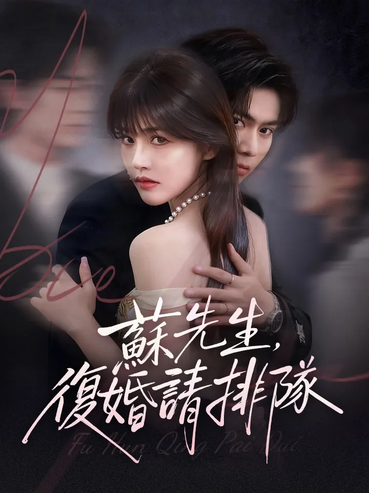《蘇先生，復婚請排隊》封面