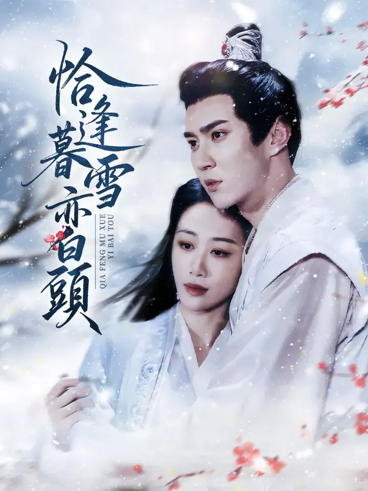《恰逢暮雪亦白頭》封面